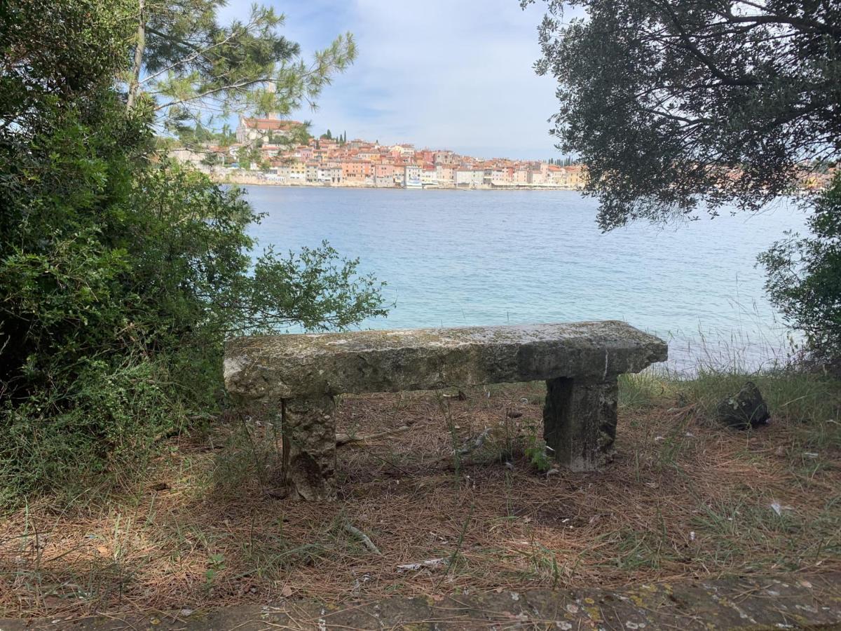 רובינייסקו סלו "Art House" Rovinj-Holiday, Holiday Home To Rent מראה חיצוני תמונה